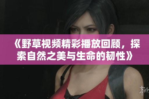 《野草视频精彩播放回顾，探索自然之美与生命的韧性》