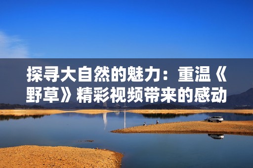 探寻大自然的魅力：重温《野草》精彩视频带来的感动与思考