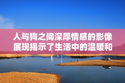 人与狗之间深厚情感的影像展现揭示了生活中的温暖和陪伴