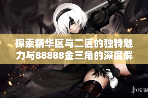 探索精华区与二区的独特魅力与88888金三角的深度解析