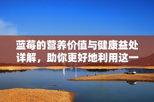 蓝莓的营养价值与健康益处详解，助你更好地利用这一超级食物