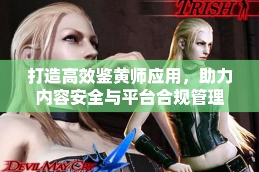 打造高效鉴黄师应用，助力内容安全与平台合规管理