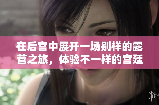 在后宫中展开一场别样的露营之旅，体验不一样的宫廷生活