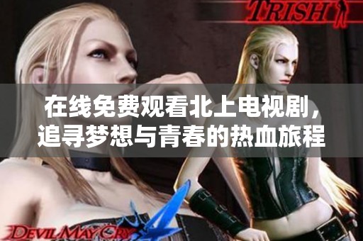 在线免费观看北上电视剧，追寻梦想与青春的热血旅程