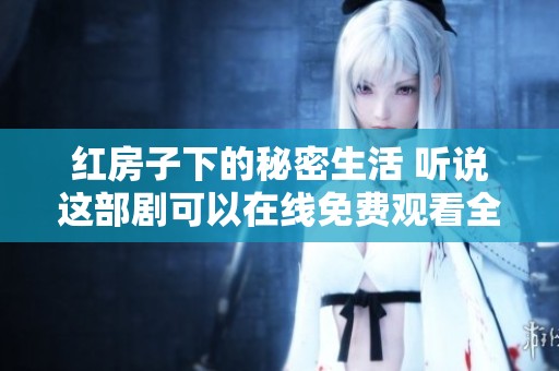 红房子下的秘密生活 听说这部剧可以在线免费观看全集